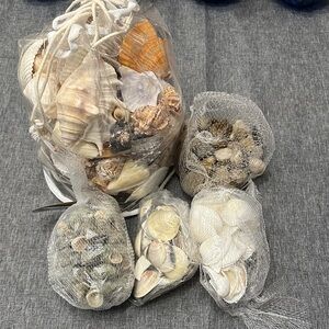 Assorted Seashell / pebble Collection